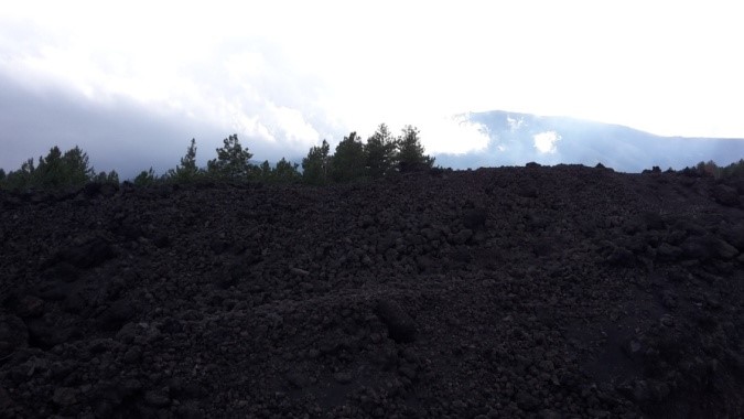 Остатки леса среди лавового потока Остатки леса среди лавового потока
